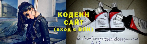 ГАЛЛЮЦИНОГЕННЫЕ ГРИБЫ Козловка