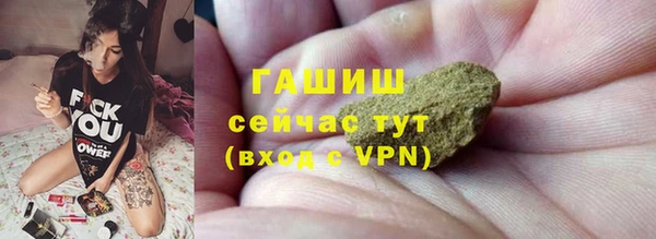 ГАЛЛЮЦИНОГЕННЫЕ ГРИБЫ Козловка