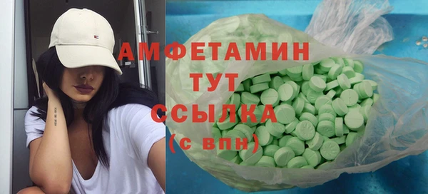 ГАЛЛЮЦИНОГЕННЫЕ ГРИБЫ Козловка