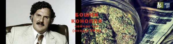 ГАЛЛЮЦИНОГЕННЫЕ ГРИБЫ Козловка