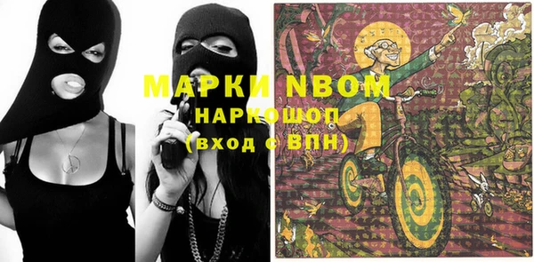 ГАЛЛЮЦИНОГЕННЫЕ ГРИБЫ Козловка