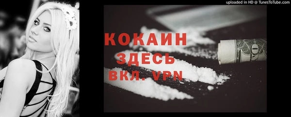 прущие крисы Кодинск