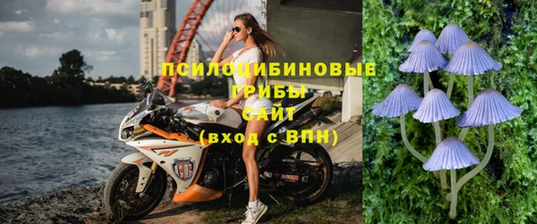 прущие крисы Кодинск