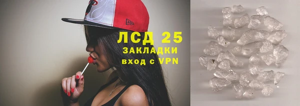 ГАЛЛЮЦИНОГЕННЫЕ ГРИБЫ Козловка