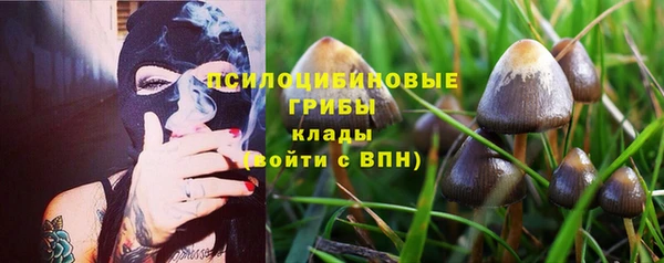 ГАЛЛЮЦИНОГЕННЫЕ ГРИБЫ Козловка