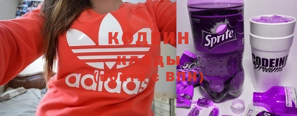ГАЛЛЮЦИНОГЕННЫЕ ГРИБЫ Козловка