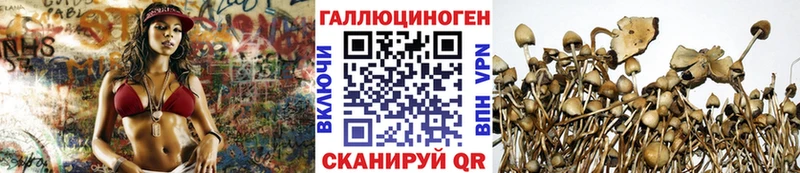 Галлюциногенные грибы мухоморы  цена наркотик  Кондрово 